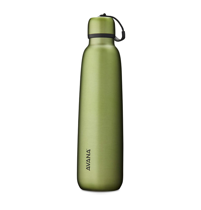 AVANA® Ashbury™ 18-oz. Stainless Steel Double Wall Insulated Water Bottle - Palm
