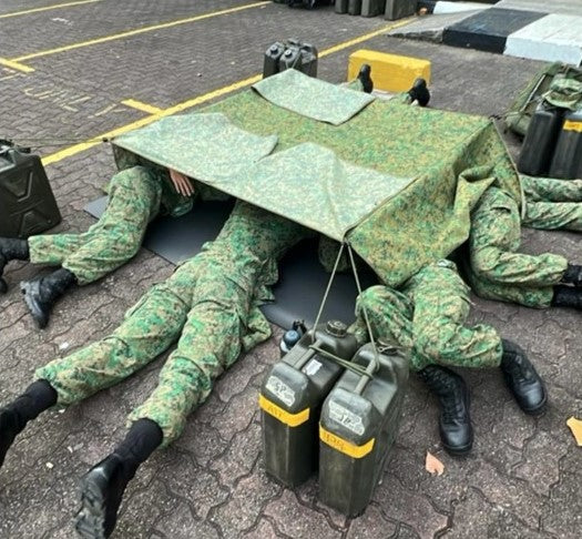 (Get a Quote) Pixelised Outfield Night Cover