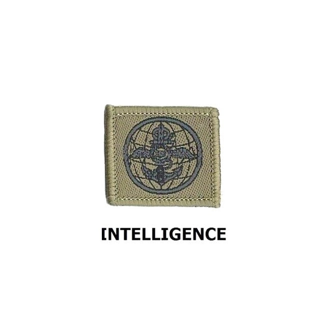 INTELLIGENCE COLLAR Army No.4 Badge