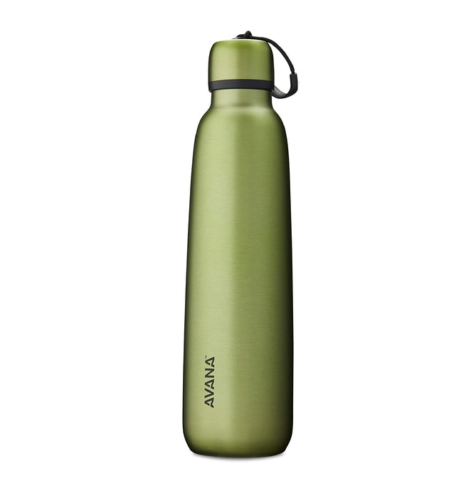 AVANA® Ashbury™ 24-oz. Stainless Steel Double Wall Insulated Water Bottle - Palm