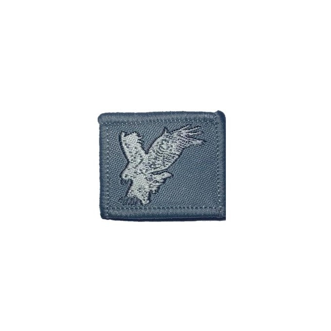 NCC Air Collar, NCC Air Vocation Badge